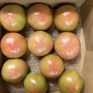 秋味トマト　桃太郎　サイズお任せ 2Kg箱