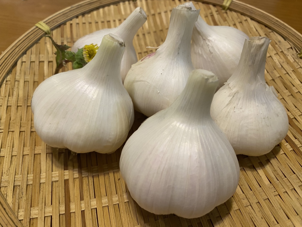 有機jas にんにく 和歌山県産 農家漁師から産地直送の通販 ポケットマルシェ