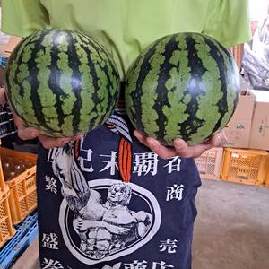 山形県産　すいか　羅皇ザ・スイート　２玉入り