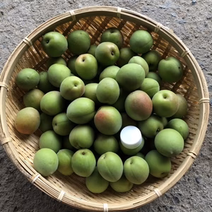 南高梅5キロ
