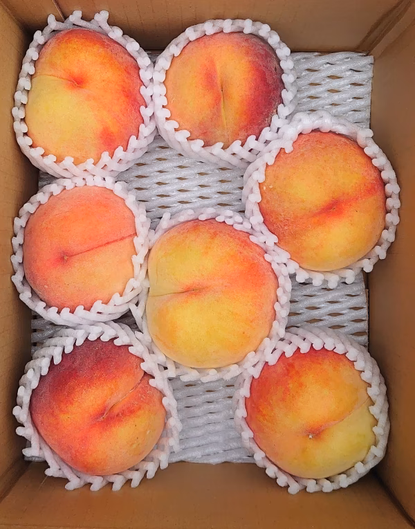 黄金桃 中玉・小玉 【訳あり】約２K 