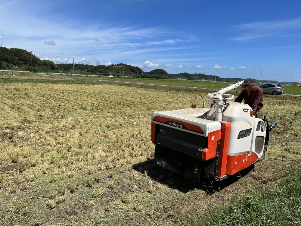 令和5年産米　千葉県匝瑳市産　コシヒカリ玄米