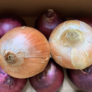 晴れの国育ち玉ねぎセット(約3kg）