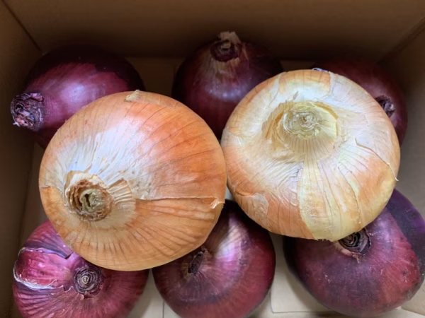 晴れの国育ち玉ねぎセット(約3kg）