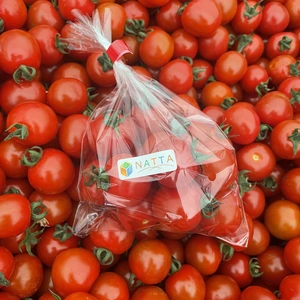 【訳アリ】大特価！食べ応えのある美味しいトマト♪10k