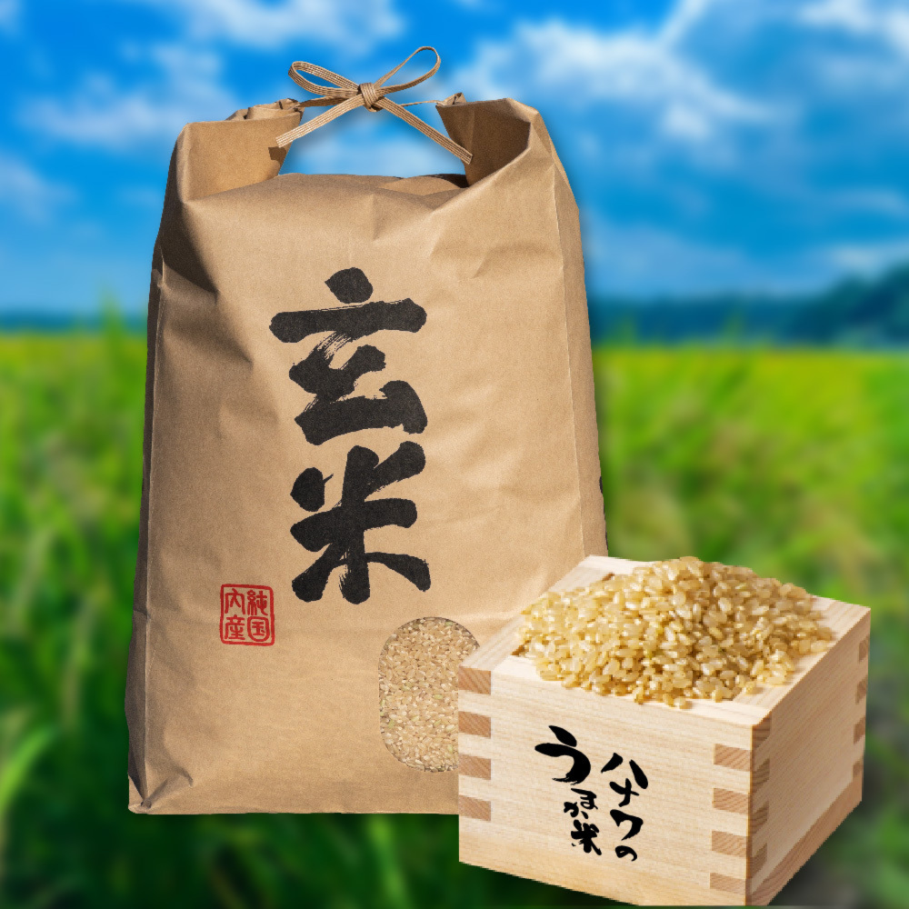 【新米：特別栽培米】ミルキークイーン　#x2F;　(玄米)　令和5年｜米・穀類の商品詳細｜ポケットマルシェ