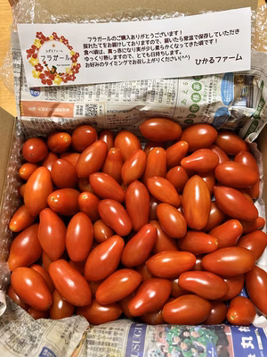 みんなの投稿の画像