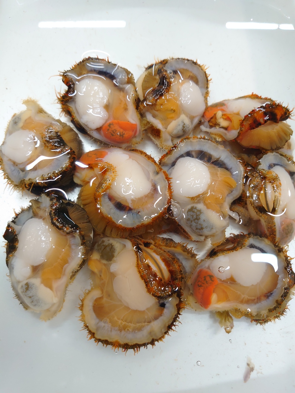 活 剥き身あかざら貝 農家漁師から産地直送の通販 ポケットマルシェ