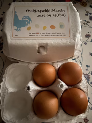 みんなの投稿の画像