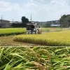 令和4年　茨城県つくば市産　低農薬コシヒカリ２㎏～ 【玄米】