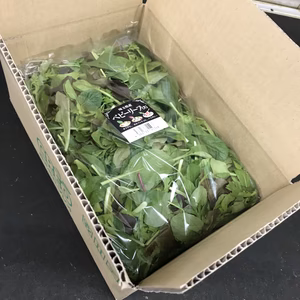 朝獲りベビーリーフ 300g