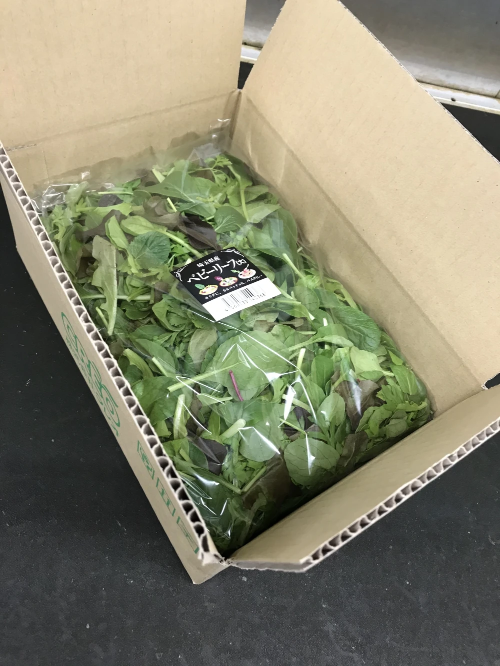 【ＮＥＷ】【10袋お得セット】朝獲りベビーリーフ 300g×10袋