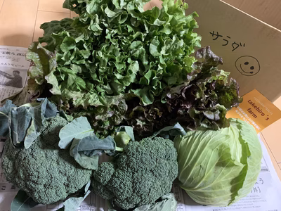 みんなの投稿の画像