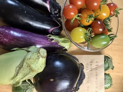 みんなの投稿の画像