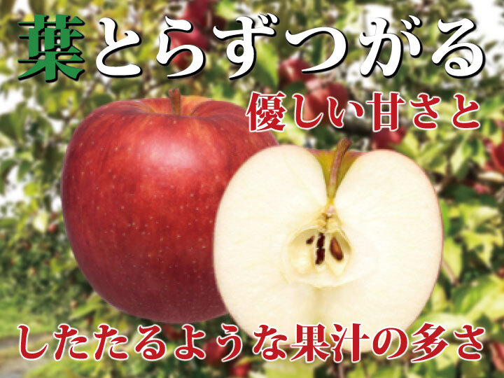 食べきりサイズ♪青森県産りんご 葉とらずつがる