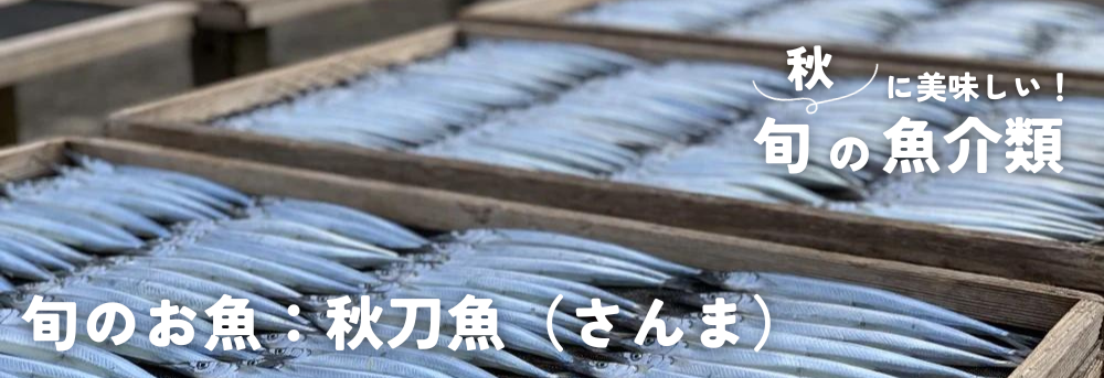 秋の旬 魚介類 秋刀魚(さんま)