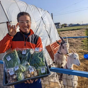 旬の野菜詰め合わせセット