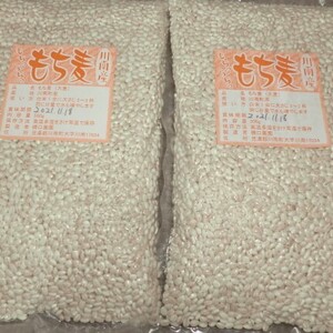 宮崎県・令和３年産プチプチ食感のもち麦５００ｇ