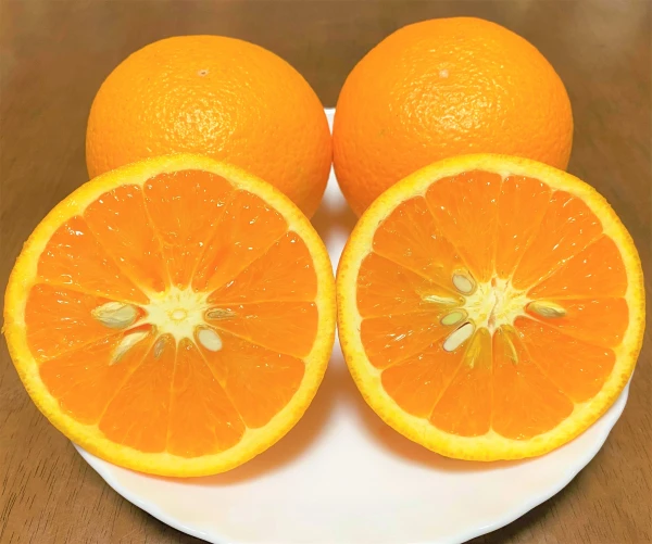 香りが良く、甘くてジューシーな清見オレンジ｜果物の商品詳細 