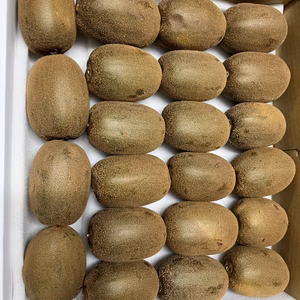 【歳末大特価！】訳ありゴールドキウイ３キロ以上　国産