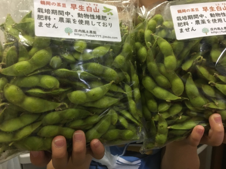 自然栽培 山形県鶴岡特産 茶豆えだまめ 1kg 農家漁師から産地直送の通販 ポケットマルシェ