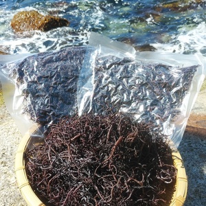 乾燥ふのり 100グラム 海藻　食物繊維豊富　免疫力向上 フノリ　布海苔