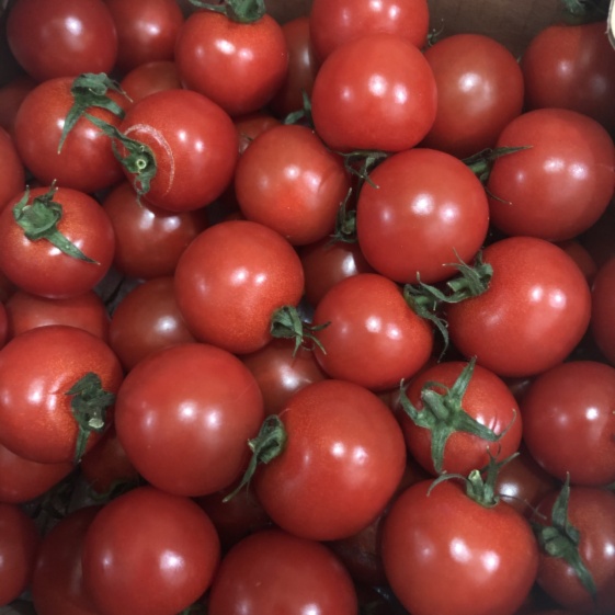 トマト好きが 恋をする 1000ｇ 金赤トマトミニ 農家漁師から産地直送の通販 ポケットマルシェ