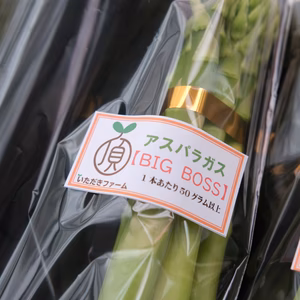 春採極太アスパラガス BIG BOSS（3Ｌサイズ 1本あたり50g以上 2㎏）