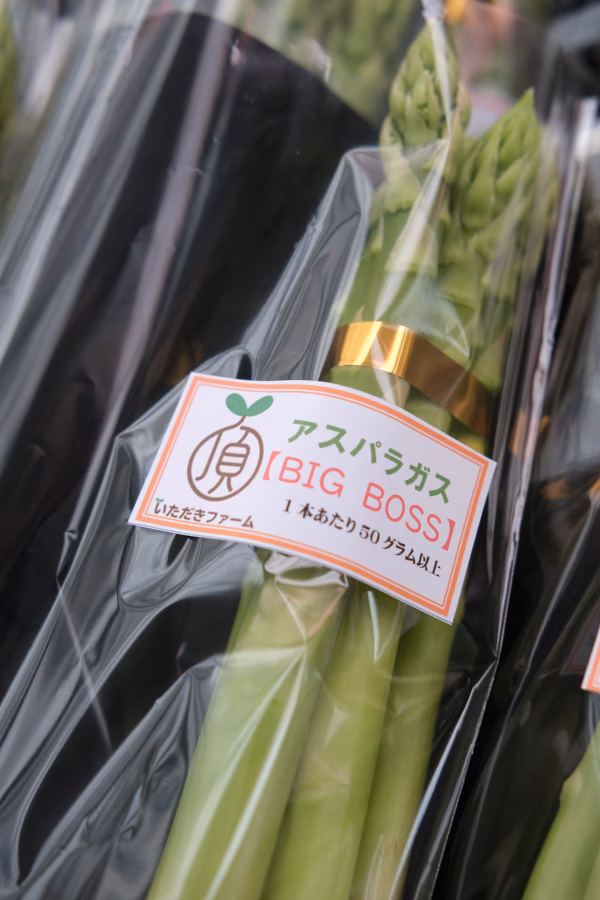 春採極太アスパラガス BIG BOSS（3Ｌサイズ 1本あたり50g以上 2㎏）