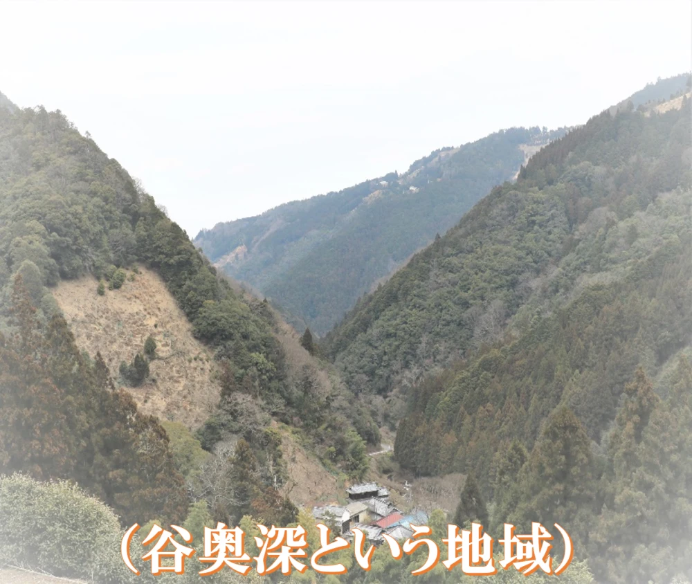 ※10月上旬頃から順次発送　秋の香り たねなし柿(刀根早生) ご家庭用　