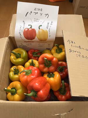 みんなの投稿の画像