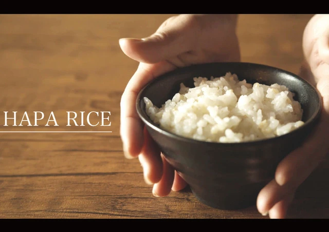 【玄米派にオススメのお米】乳酸菌あきたこまち 玄米2kg