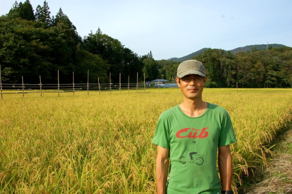 和み農園 佐藤吉洋さん 農家漁師から産地直送の通販 ポケットマルシェ