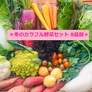 ★新鮮朝採り★『冬のカラフル野菜セットⅯ 8品目』簡易レシピ付き