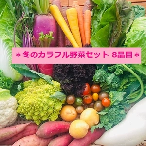 ★新鮮朝採り★『3月のカラフル野菜セットⅯ 8品目』簡易レシピ付き