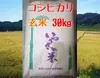 <古米>コシヒカリ 玄米 30kg【R２年産】金沢いやさか米