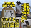 5/10まで 籾貯蔵 5年連続 残留農薬ゼロ コシヒカリ 伊助５Ｋｇ