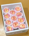 岡山の白桃　ご自宅用　お試しサイズ