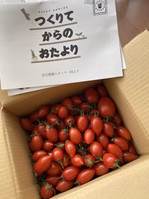 みんなの投稿の画像