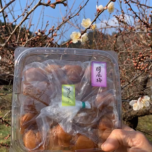 【おすすめ！】梅製品いろいろお試しサイズセット