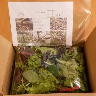 みんなの投稿の画像