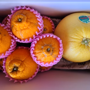 家庭用　熊本県特産ばんぺいゆ&不知火セット