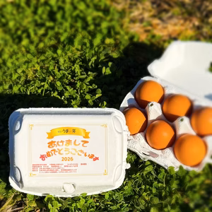 【福袋2026】❗新年初産❗️元旦宮タマ(赤)×36個※1月1～3日発送※