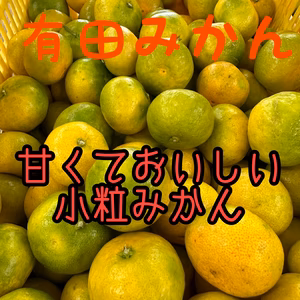 【産地直送】☆有田みかん☆極早生☆小粒ちゃん(2S以下)