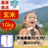 【令和4年産】茨城県産コシヒカリ　風のひかり10kg（玄米）