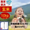 【新米】茨城県産コシヒカリ　風のひかり10kg（玄米）