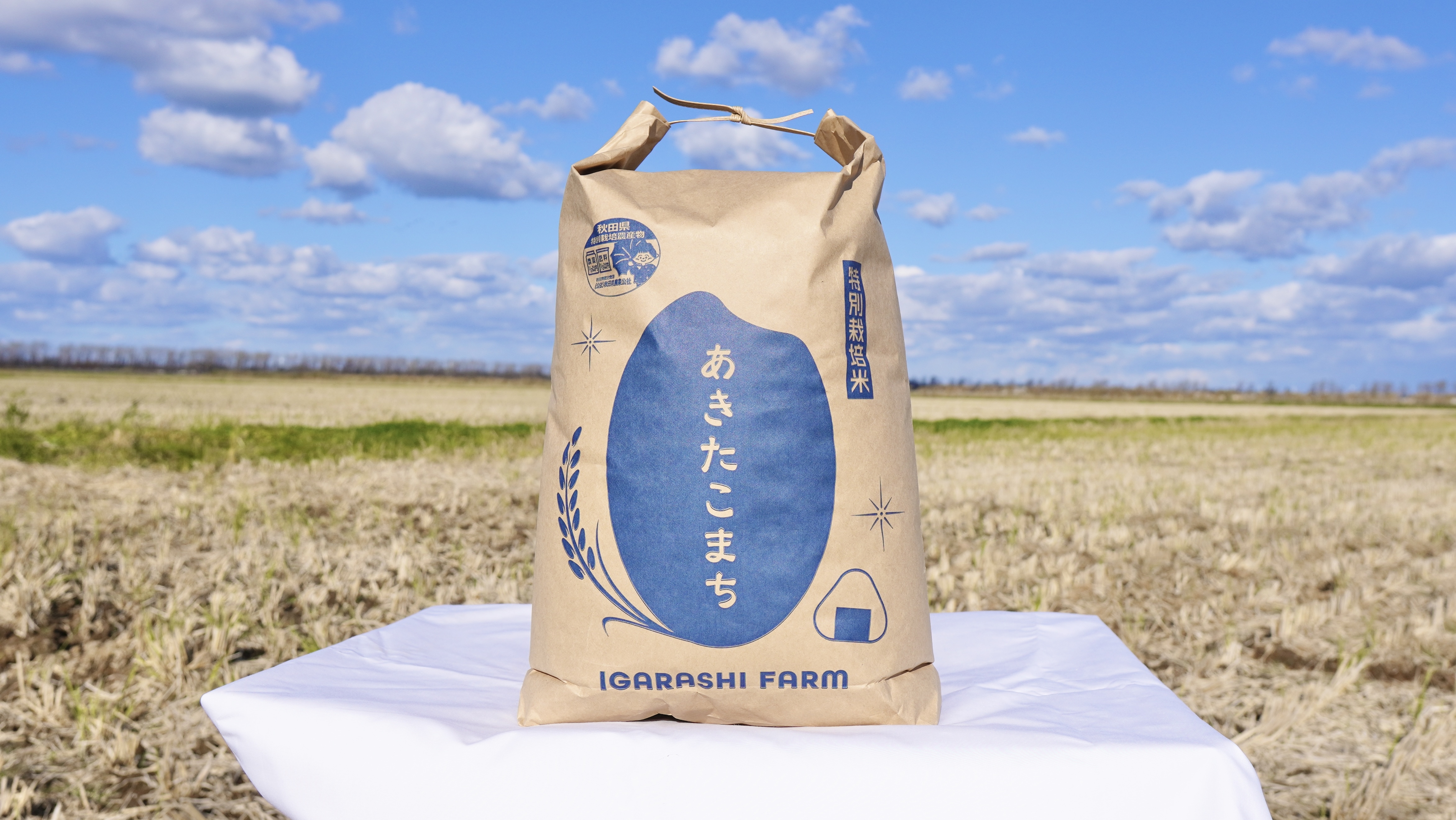【粒を感じる 】特別栽培米あきたこまち/R４年産