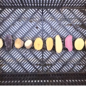 10品種から農薬・化学肥料不使用のジャガイモ食べ比べセット♪