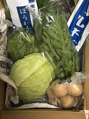 みんなの投稿の画像