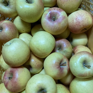 2種盛り！訳ありぐんま名月＋みだぐなしラフランス訳あり箱込み7キロ